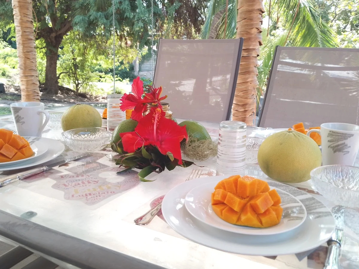 Breakfast served on the terrace: mango, grapefruit and hibiscus flowers on the table