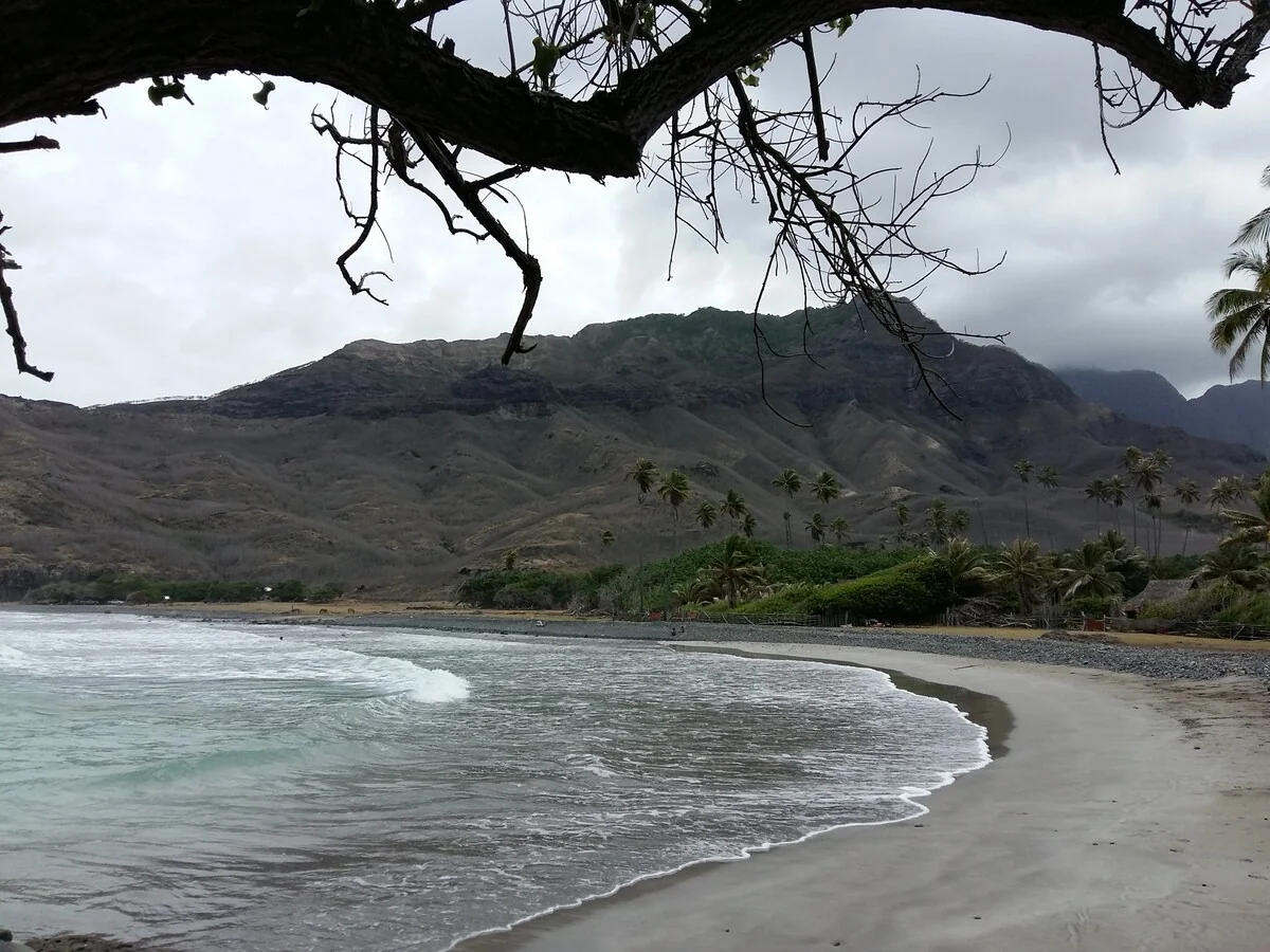 Grey sand beach lined with coconut palms at the foot of the mountain, under a cloudy sky